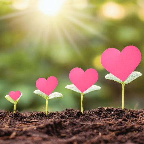 Love as a Transformative Force in SV&SE