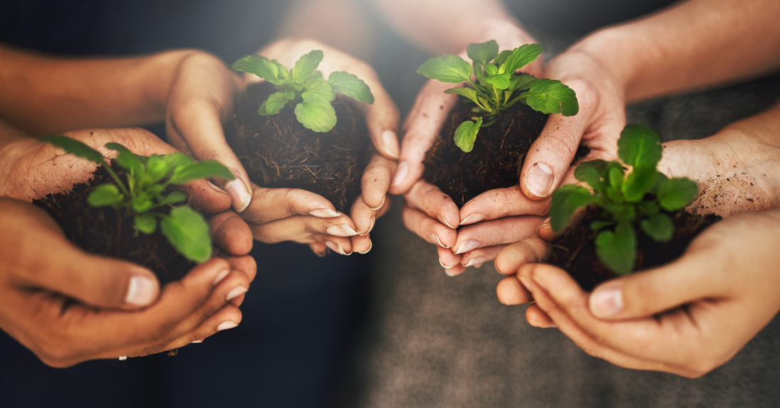 Practice Pause: What Are We Responsible For?